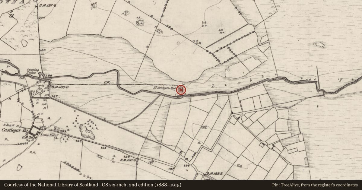 Ordnance Survey six-inch map, 2nd edition (1888–1915) covering the location of Ritual site - holy well, Castlegar, County Galway, with a pin at the register's coordinates