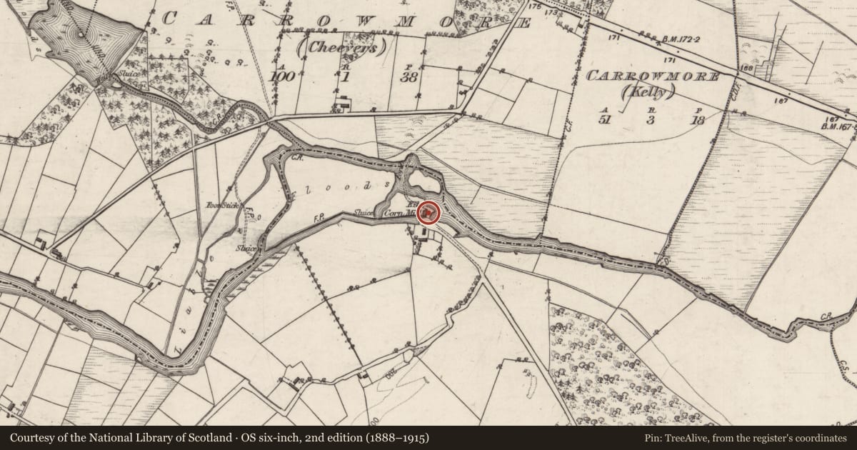 Ordnance Survey six-inch map, 2nd edition (1888–1915) covering the location of Mill - corn, Cloonnabricka, County Galway, with a pin at the register's coordinates