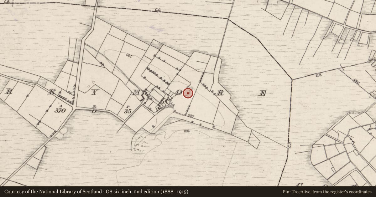 Ordnance Survey six-inch map, 2nd edition (1888–1915) covering the location of Souterrain, Derrymore, County Galway, with a pin at the register's coordinates