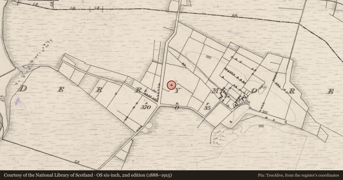 Ordnance Survey six-inch map, 2nd edition (1888–1915) covering the location of Quarry, Derrymore, County Galway, with a pin at the register's coordinates