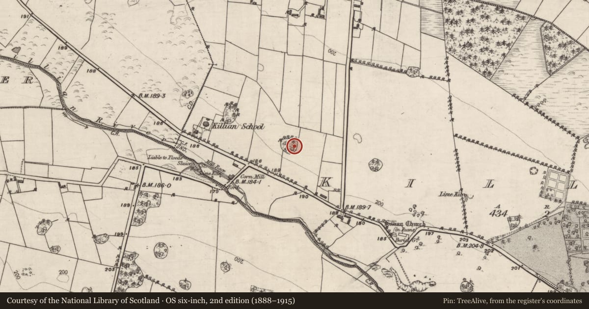 Ordnance Survey six-inch map, 2nd edition (1888–1915) covering the location of Designed landscape - tree-ring, Killian, County Galway, with a pin at the register's coordinates
