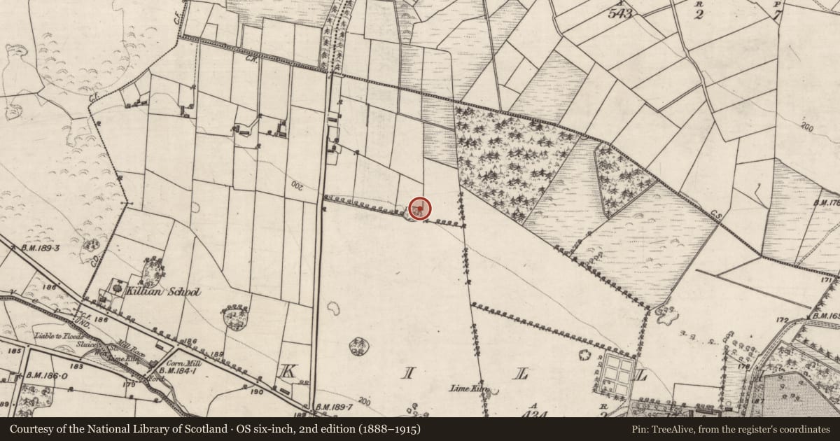 Ordnance Survey six-inch map, 2nd edition (1888–1915) covering the location of Designed landscape - tree-ring, Killian, County Galway, with a pin at the register's coordinates