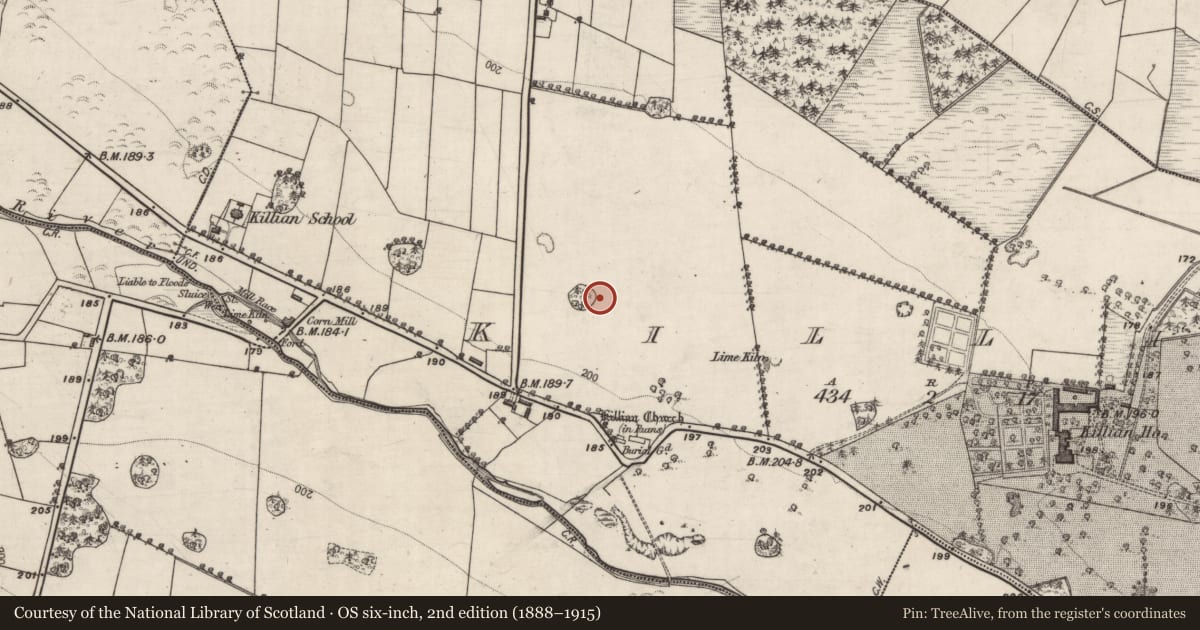 Ordnance Survey six-inch map, 2nd edition (1888–1915) covering the location of Designed landscape - tree-ring, Killian, County Galway, with a pin at the register's coordinates