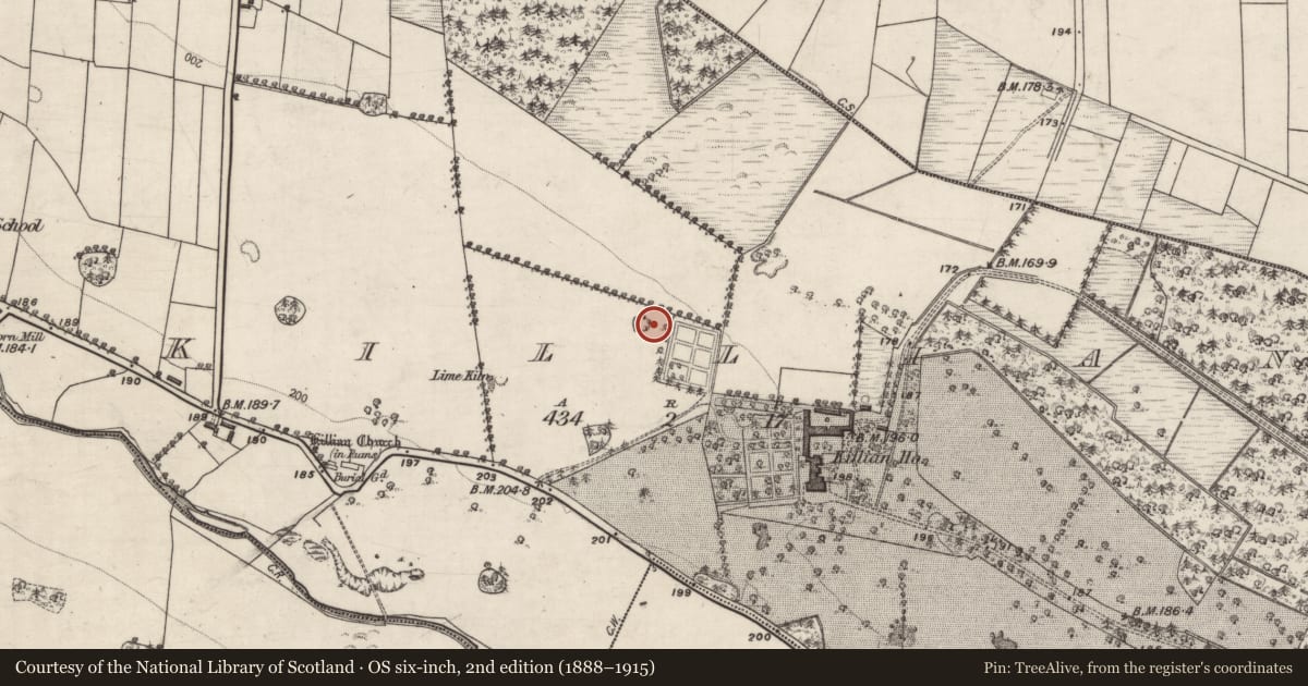 Ordnance Survey six-inch map, 2nd edition (1888–1915) covering the location of Designed landscape feature, Killian, County Galway, with a pin at the register's coordinates