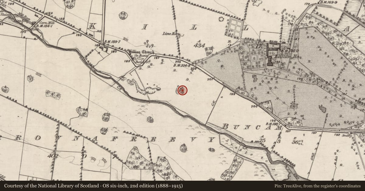 Ordnance Survey six-inch map, 2nd edition (1888–1915) covering the location of Designed landscape feature, Killian, County Galway, with a pin at the register's coordinates