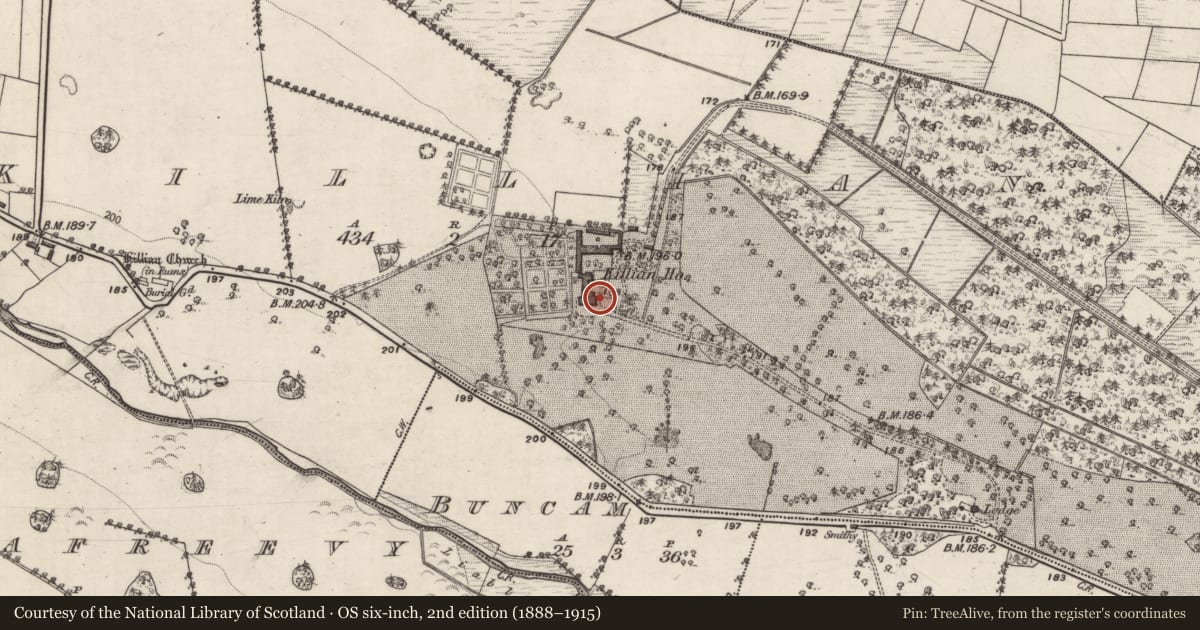 Ordnance Survey six-inch map, 2nd edition (1888–1915) covering the location of Country house, Killian, County Galway, with a pin at the register's coordinates
