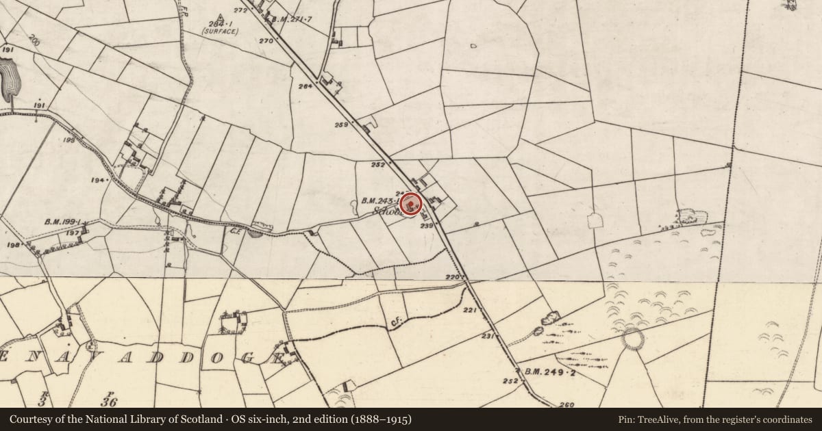 Ordnance Survey six-inch map, 2nd edition (1888–1915) covering the location of Ringfort - rath, Killosolan, County Galway, with a pin at the register's coordinates
