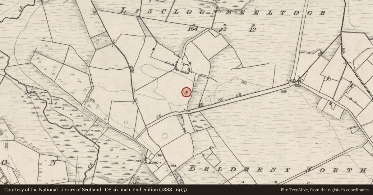 Ordnance Survey six-inch map, 2nd edition (1888–1915) covering the location of Quarry, Liscloonmeeltoge, County Galway, with a pin at the register's coordinates