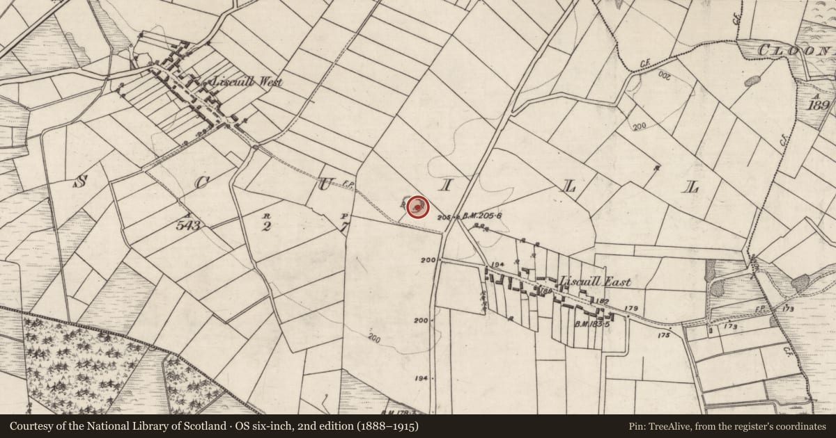 Ordnance Survey six-inch map, 2nd edition (1888–1915) covering the location of Ringfort - unclassified, Liscuill, County Galway, with a pin at the register's coordinates
