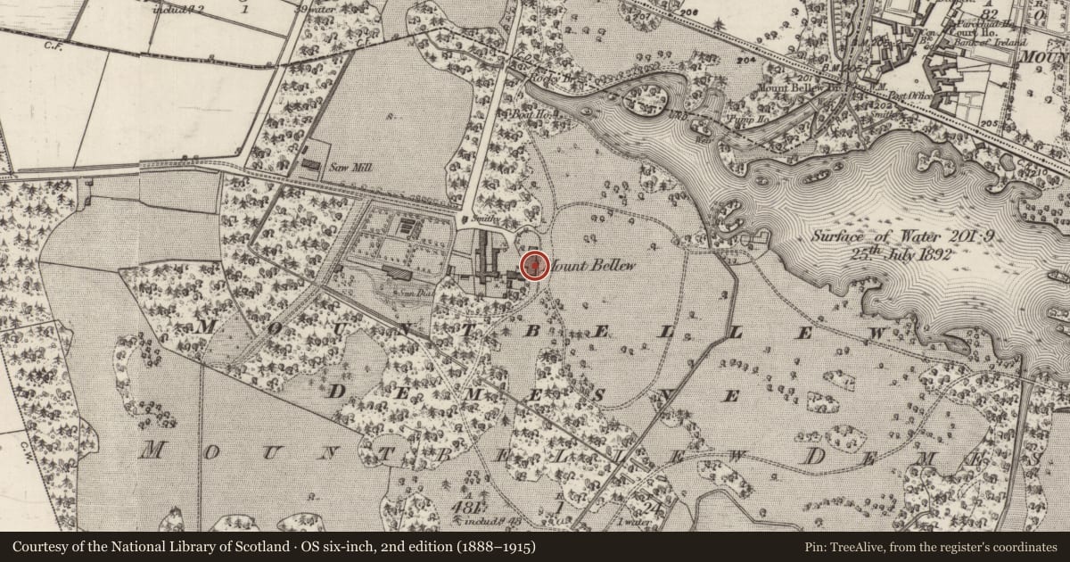 Ordnance Survey six-inch map, 2nd edition (1888–1915) covering the location of Country house, Mountbellew Demesne, County Galway, with a pin at the register's coordinates