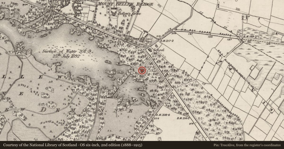 Ordnance Survey six-inch map, 2nd edition (1888–1915) covering the location of Church, Mountbellew Demesne, County Galway, with a pin at the register's coordinates