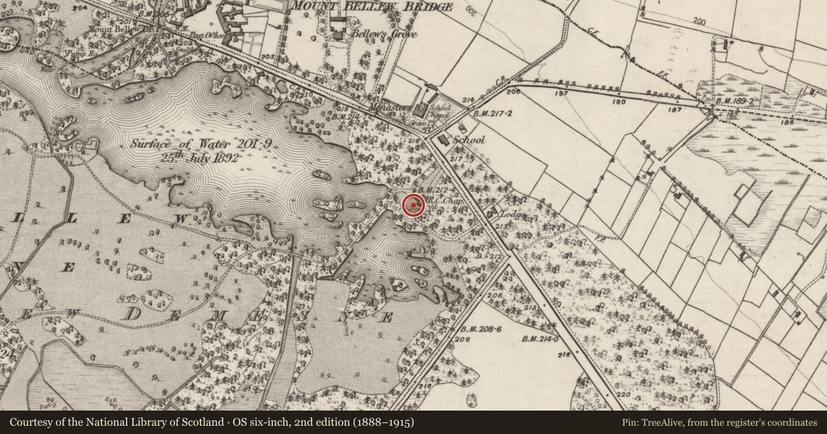 Ordnance Survey six-inch map, 2nd edition (1888–1915) covering the location of Graveyard, Mountbellew Demesne, County Galway, with a pin at the register's coordinates