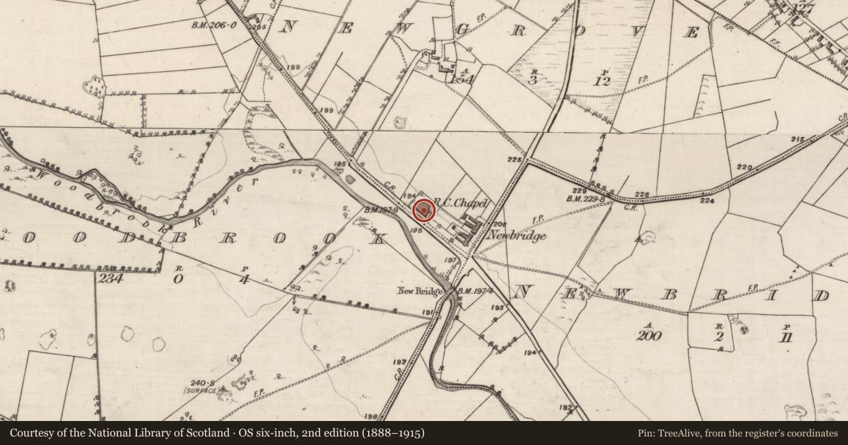 Ordnance Survey six-inch map, 2nd edition (1888–1915) covering the location of Church, Newgrove, County Galway, with a pin at the register's coordinates
