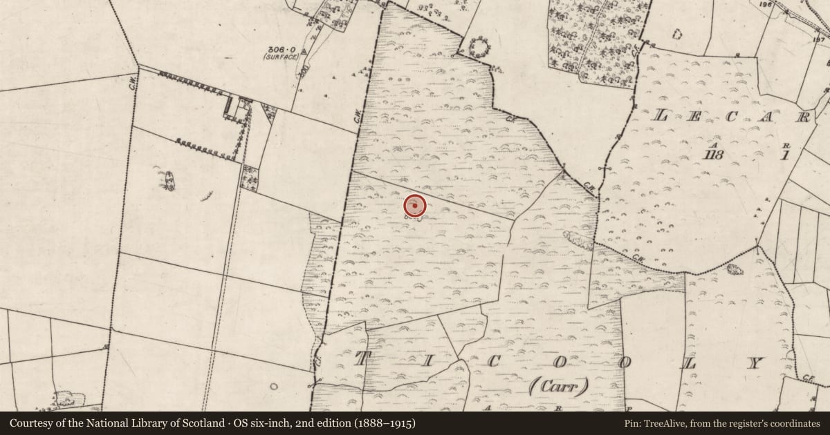 Ordnance Survey six-inch map, 2nd edition (1888–1915) covering the location of Ringfort - rath, Ticooly (Carr), County Galway, with a pin at the register's coordinates