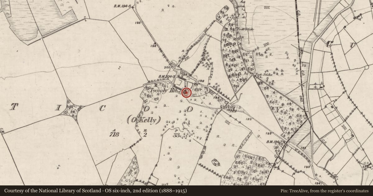 Ordnance Survey six-inch map, 2nd edition (1888–1915) covering the location of House - 18th/19th century, Ticooly (O'Kelly), County Galway, with a pin at the register's coordinates