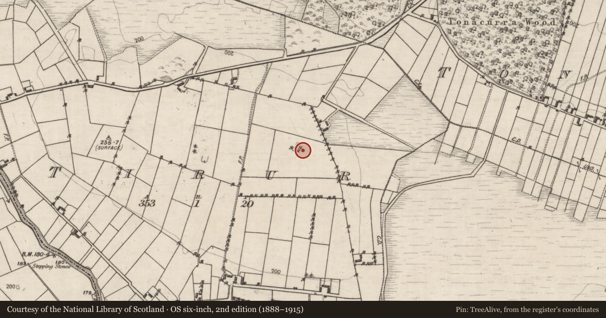 Ordnance Survey six-inch map, 2nd edition (1888–1915) covering the location of Enclosure, Tirur, County Galway, with a pin at the register's coordinates