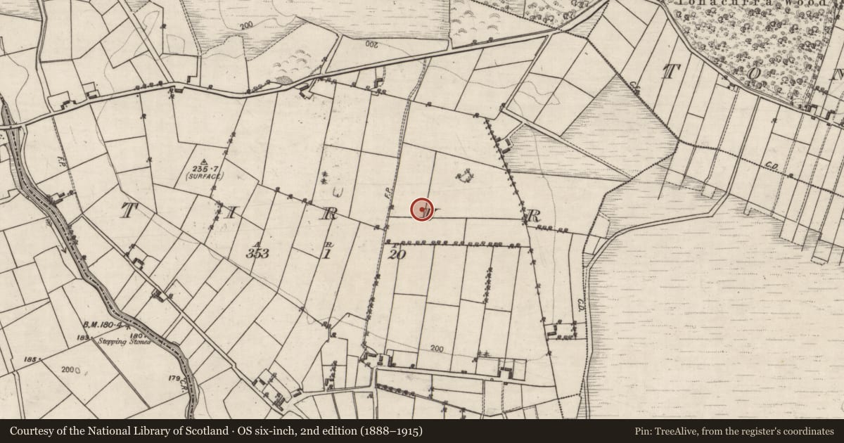 Ordnance Survey six-inch map, 2nd edition (1888–1915) covering the location of Children's burial ground, Tirur, County Galway, with a pin at the register's coordinates