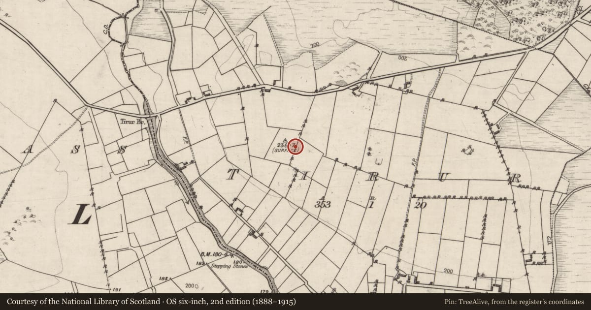 Ordnance Survey six-inch map, 2nd edition (1888–1915) covering the location of Ringfort - unclassified, Tirur, County Galway, with a pin at the register's coordinates
