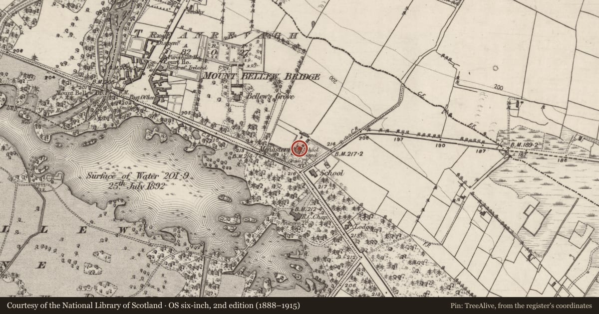 Ordnance Survey six-inch map, 2nd edition (1888–1915) covering the location of Religious house - unclassified, Treanrevagh, County Galway, with a pin at the register's coordinates