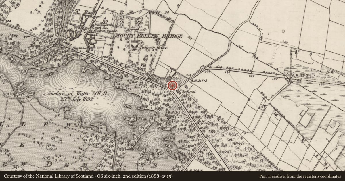Ordnance Survey six-inch map, 2nd edition (1888–1915) covering the location of Graveyard, Treanrevagh, County Galway, with a pin at the register's coordinates