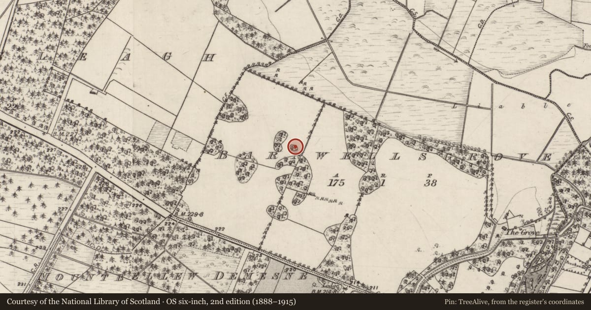 Ordnance Survey six-inch map, 2nd edition (1888–1915) covering the location of Designed landscape - tree-ring, Barnwellsgrove, County Galway, with a pin at the register's coordinates
