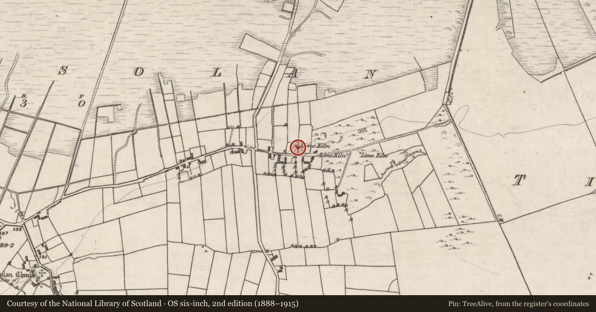 Ordnance Survey six-inch map, 2nd edition (1888–1915) covering the location of Kiln - lime, Killosolan, County Galway, with a pin at the register's coordinates