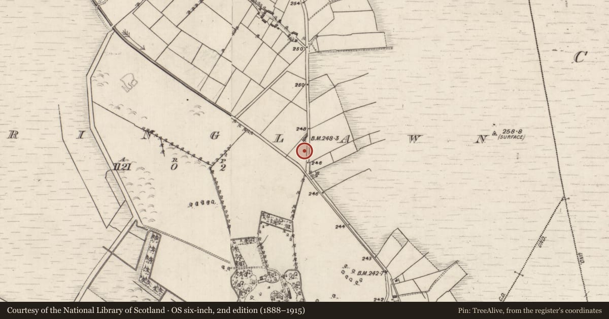 Ordnance Survey six-inch map, 2nd edition (1888–1915) covering the location of Children's burial ground, Springlawn, County Galway, with a pin at the register's coordinates