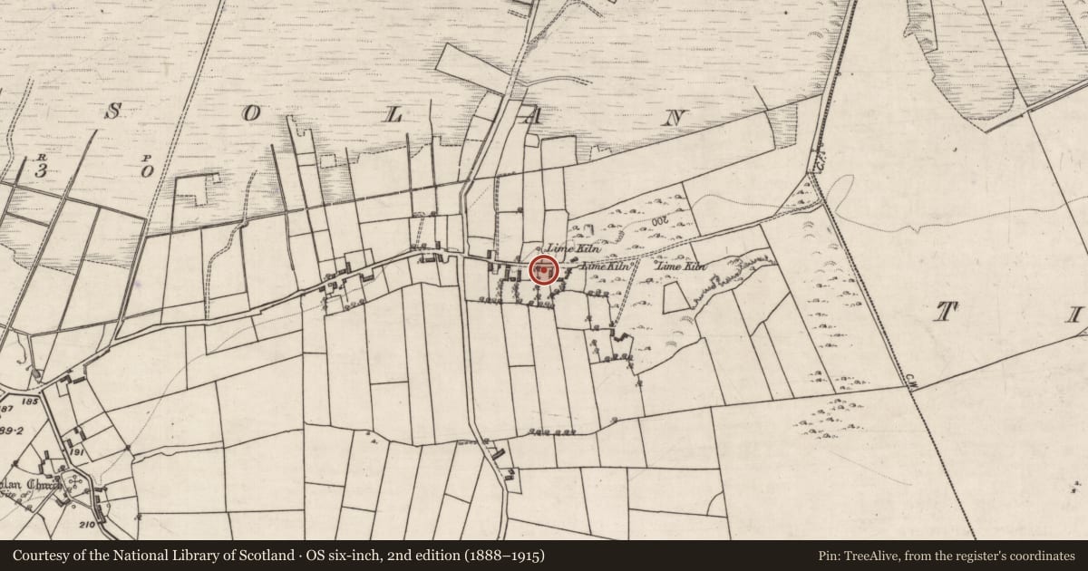 Ordnance Survey six-inch map, 2nd edition (1888–1915) covering the location of Fulacht fia, Killosolan, County Galway, with a pin at the register's coordinates