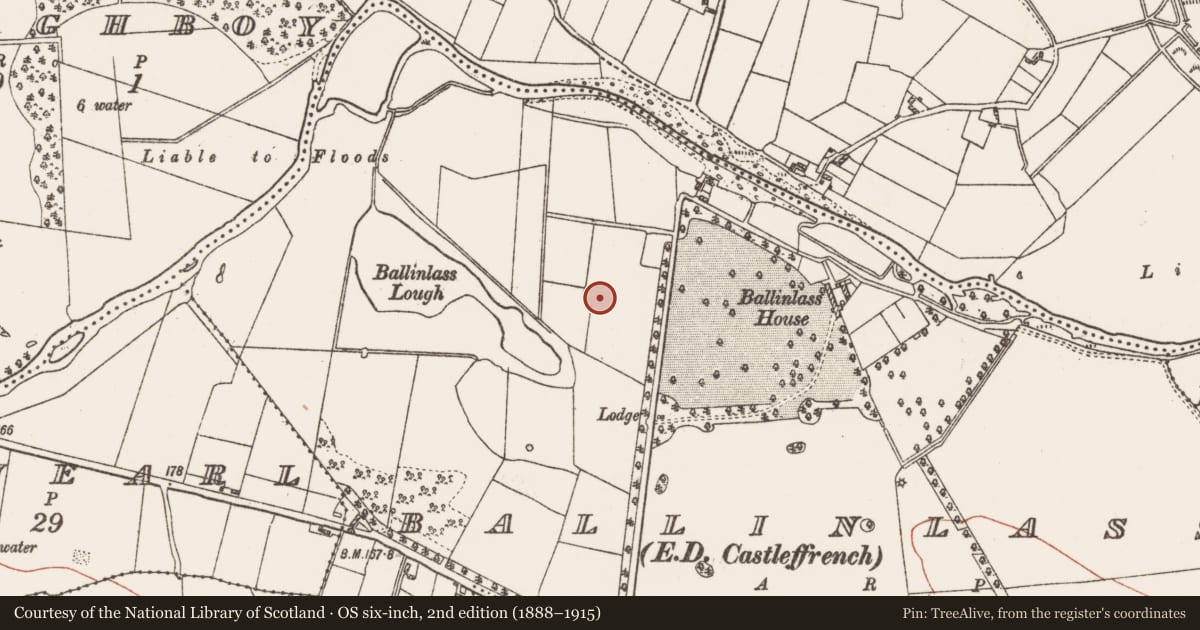 Ordnance Survey six-inch map, 2nd edition (1888–1915) covering the location of Enclosure, Ballinlass, County Galway, with a pin at the register's coordinates