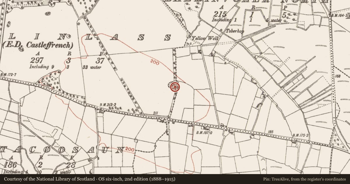 Ordnance Survey six-inch map, 2nd edition (1888–1915) covering the location of Ringfort - unclassified, Ballinlass, County Galway, with a pin at the register's coordinates