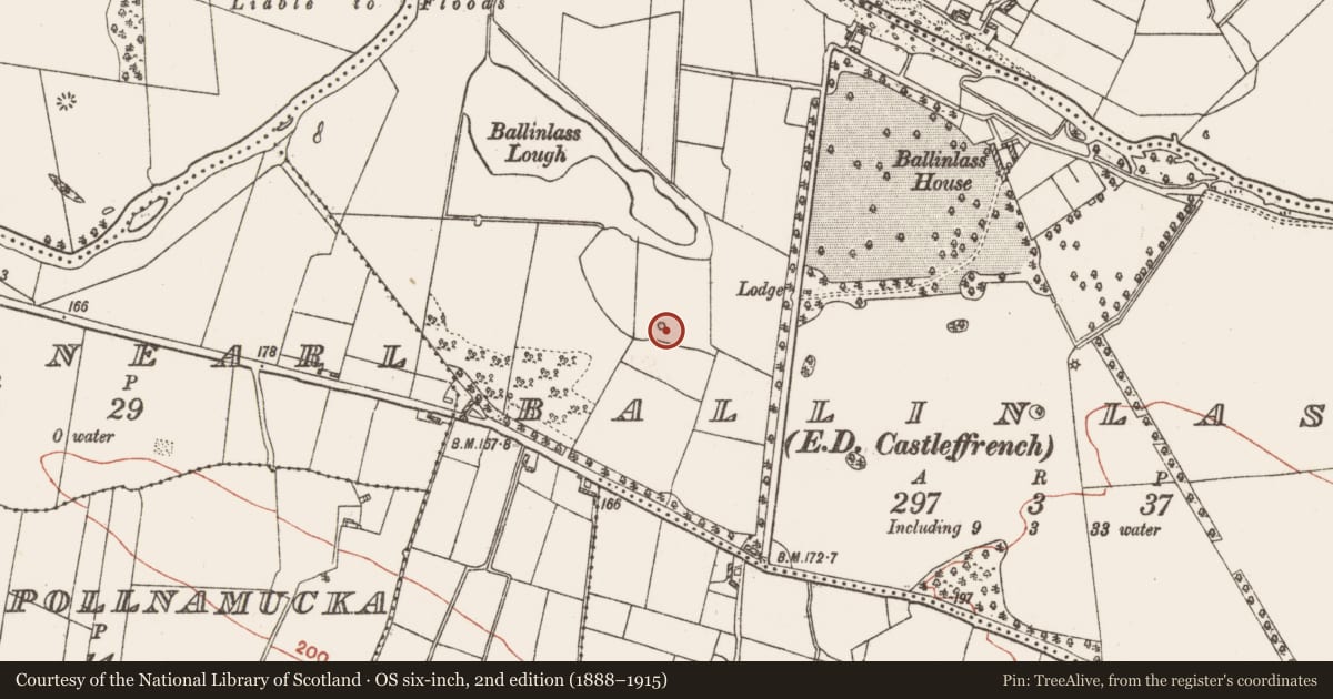 Ordnance Survey six-inch map, 2nd edition (1888–1915) covering the location of Earthwork, Ballinlass, County Galway, with a pin at the register's coordinates