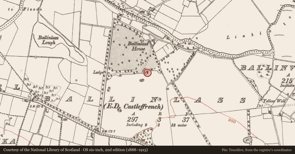 Ordnance Survey six-inch map, 2nd edition (1888–1915) covering the location of Designed landscape - tree-ring, Ballinlass, County Galway, with a pin at the register's coordinates