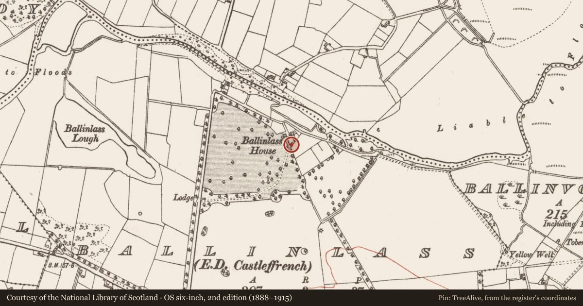 Ordnance Survey six-inch map, 2nd edition (1888–1915) covering the location of House - 18th/19th century, Ballinlass, County Galway, with a pin at the register's coordinates