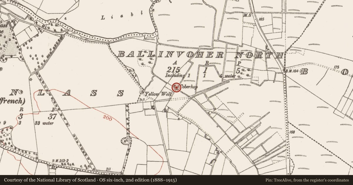 Ordnance Survey six-inch map, 2nd edition (1888–1915) covering the location of Well, Ballinvoher North, County Galway, with a pin at the register's coordinates