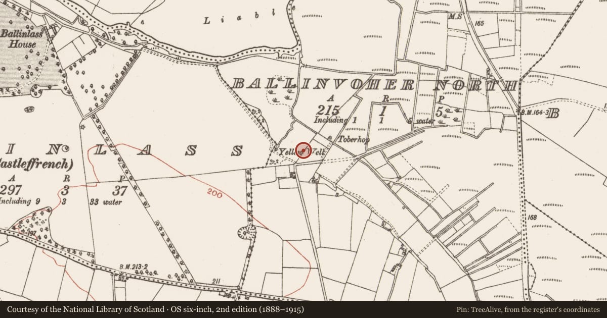 Ordnance Survey six-inch map, 2nd edition (1888–1915) covering the location of Children's burial ground, Ballinvoher North, County Galway, with a pin at the register's coordinates