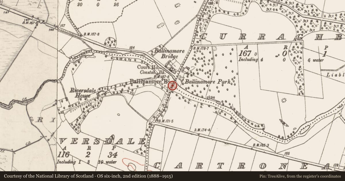 Ordnance Survey six-inch map, 2nd edition (1888–1915) covering the location of Bridge, County Galway, with a pin at the register's coordinates