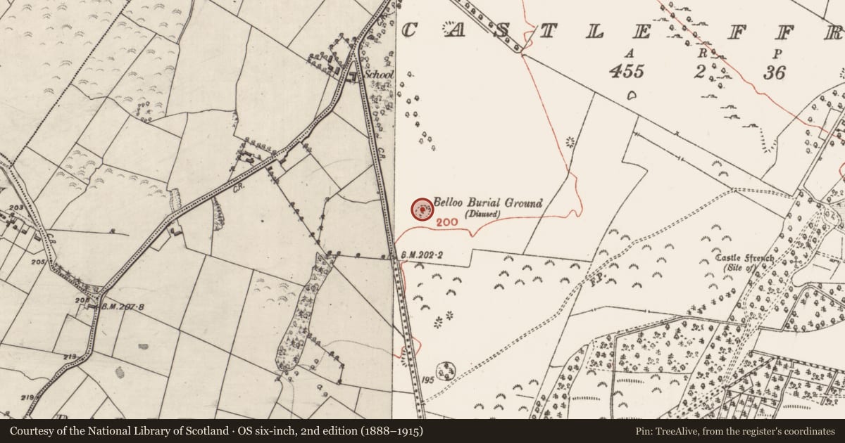 Ordnance Survey six-inch map, 2nd edition (1888–1915) covering the location of Burial ground, Castle Ffrench, County Galway, with a pin at the register's coordinates