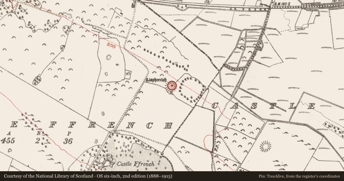 Ordnance Survey six-inch map, 2nd edition (1888–1915) covering the location of Ringfort - unclassified, Castle Ffrench, County Galway, with a pin at the register's coordinates