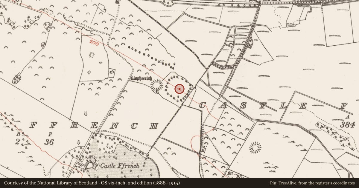 Ordnance Survey six-inch map, 2nd edition (1888–1915) covering the location of Designed landscape - tree-ring, Castle Ffrench, County Galway, with a pin at the register's coordinates