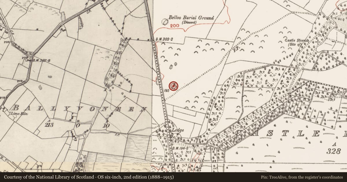 Ordnance Survey six-inch map, 2nd edition (1888–1915) covering the location of Designed landscape - tree-ring, Castle Ffrench, County Galway, with a pin at the register's coordinates