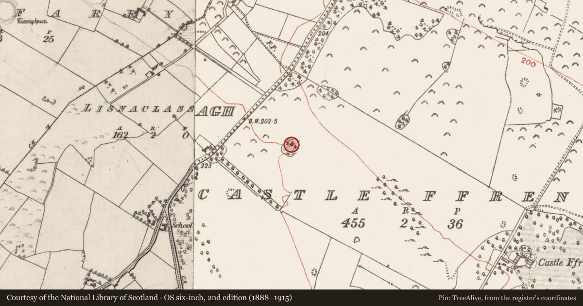 Ordnance Survey six-inch map, 2nd edition (1888–1915) covering the location of Designed landscape - tree-ring, Castle Ffrench, County Galway, with a pin at the register's coordinates