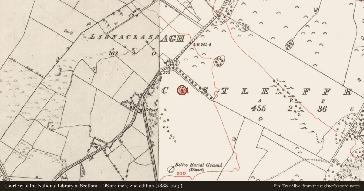 Ordnance Survey six-inch map, 2nd edition (1888–1915) covering the location of Quarry, Castle Ffrench, County Galway, with a pin at the register's coordinates