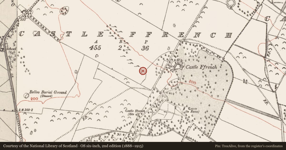 Ordnance Survey six-inch map, 2nd edition (1888–1915) covering the location of Quarry, Castle Ffrench, County Galway, with a pin at the register's coordinates