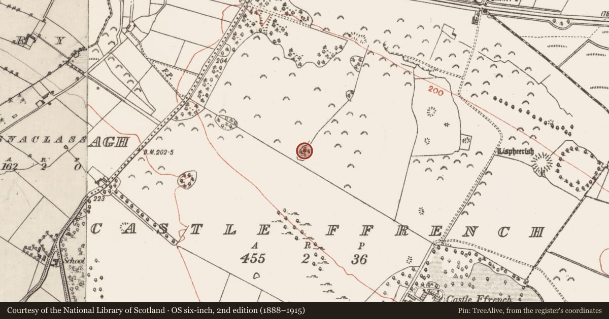 Ordnance Survey six-inch map, 2nd edition (1888–1915) covering the location of Designed landscape feature, Castle Ffrench, County Galway, with a pin at the register's coordinates