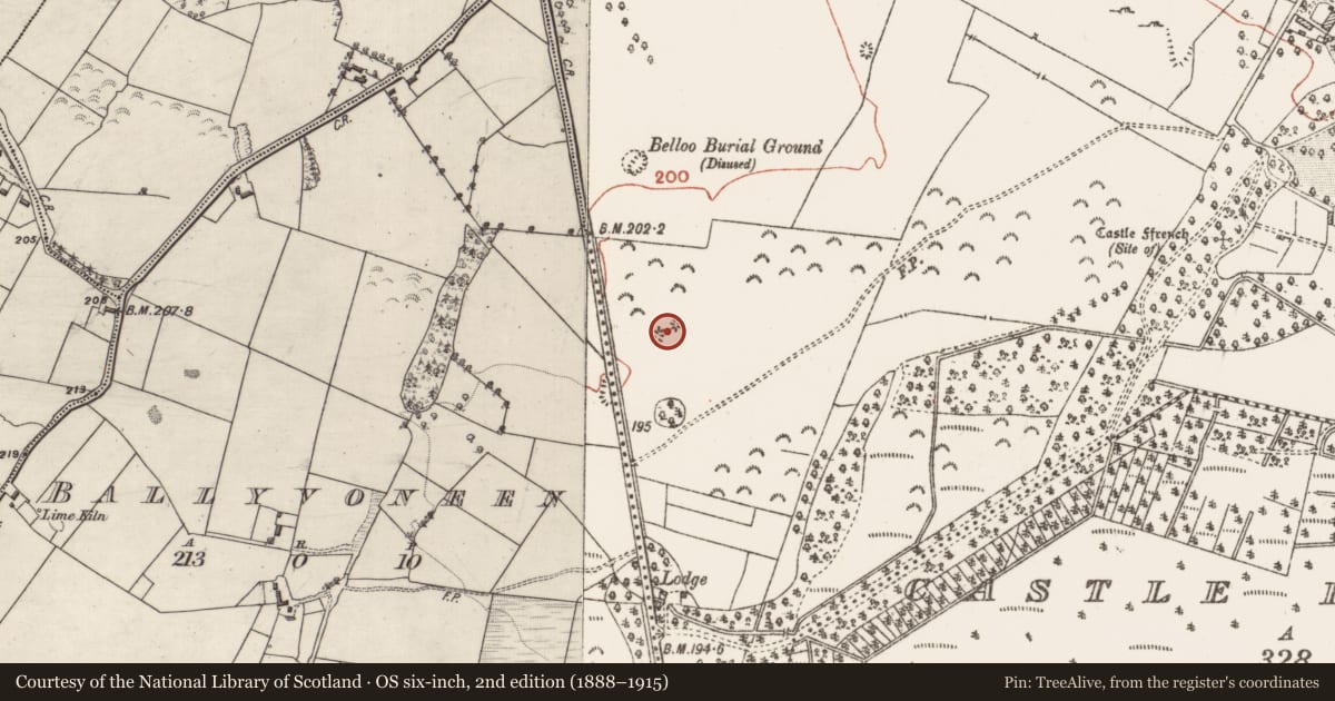 Ordnance Survey six-inch map, 2nd edition (1888–1915) covering the location of Quarry, Castle Ffrench, County Galway, with a pin at the register's coordinates