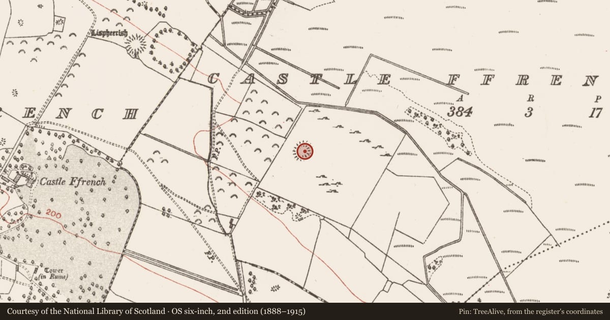 Ordnance Survey six-inch map, 2nd edition (1888–1915) covering the location of Ringfort - unclassified, Castle Ffrench East, County Galway, with a pin at the register's coordinates