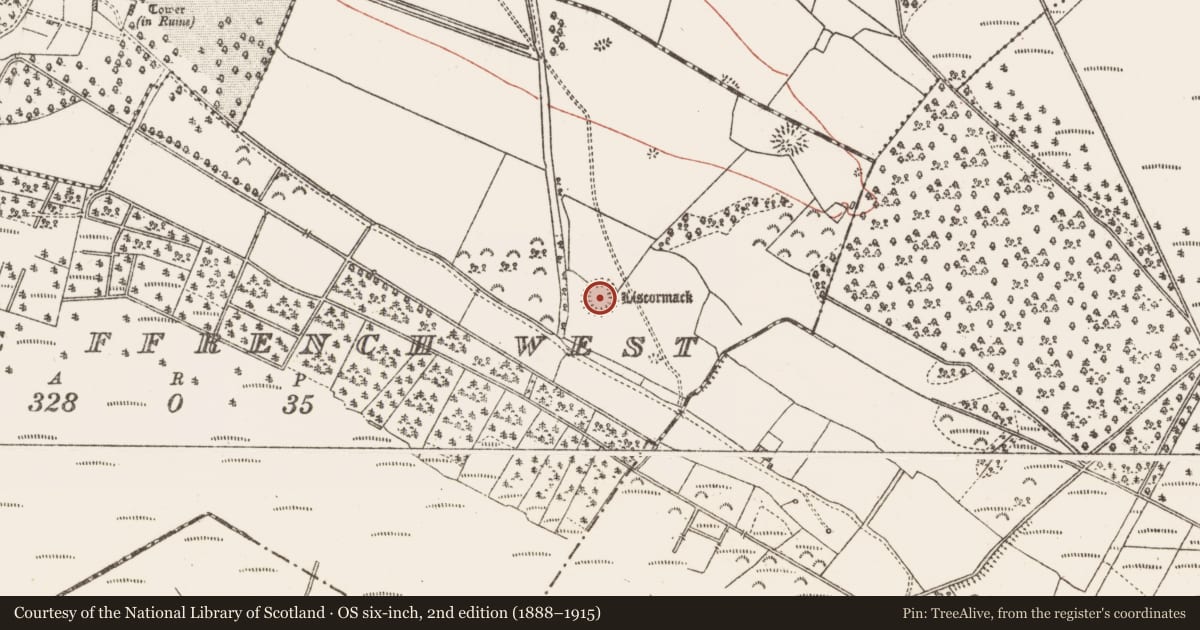 Ordnance Survey six-inch map, 2nd edition (1888–1915) covering the location of Souterrain, Castle Ffrench West, County Galway, with a pin at the register's coordinates