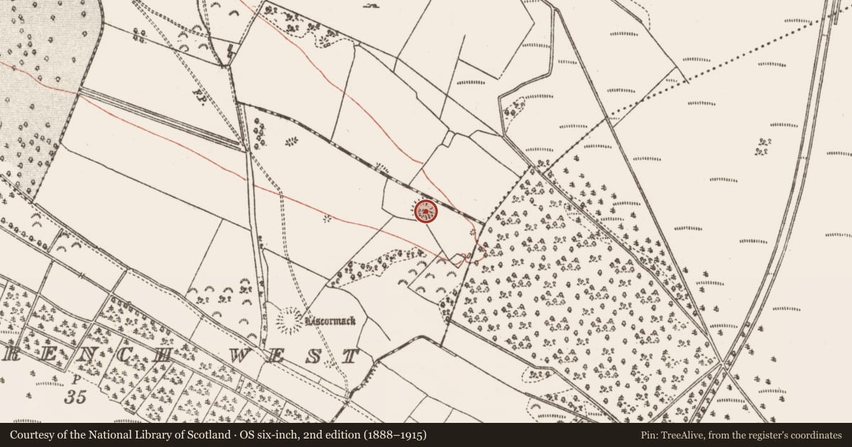 Ordnance Survey six-inch map, 2nd edition (1888–1915) covering the location of Enclosure, Castle Ffrench West, County Galway, with a pin at the register's coordinates