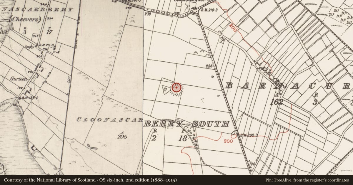 Ordnance Survey six-inch map, 2nd edition (1888–1915) covering the location of Ringfort - unclassified, Cloonascarberry South, County Galway, with a pin at the register's coordinates