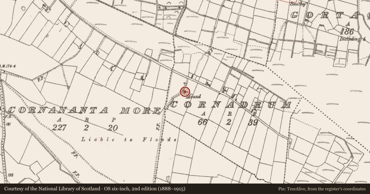 Ordnance Survey six-inch map, 2nd edition (1888–1915) covering the location of Earthwork, Cornadrum, County Galway, with a pin at the register's coordinates